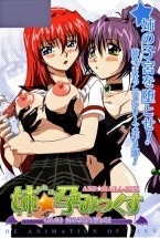 姉☆孕みっくす～Vol.03 姉の子宮を堕とせ!～